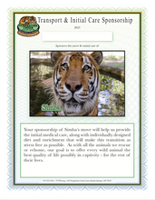 Load image into Gallery viewer, Simba the Tiger Initial Care Sponsorship
