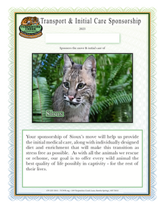 Sioux the Bobcat Initial Care Sponsorship