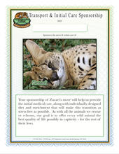 Load image into Gallery viewer, Zucari the Serval Initial Care Sponsorship
